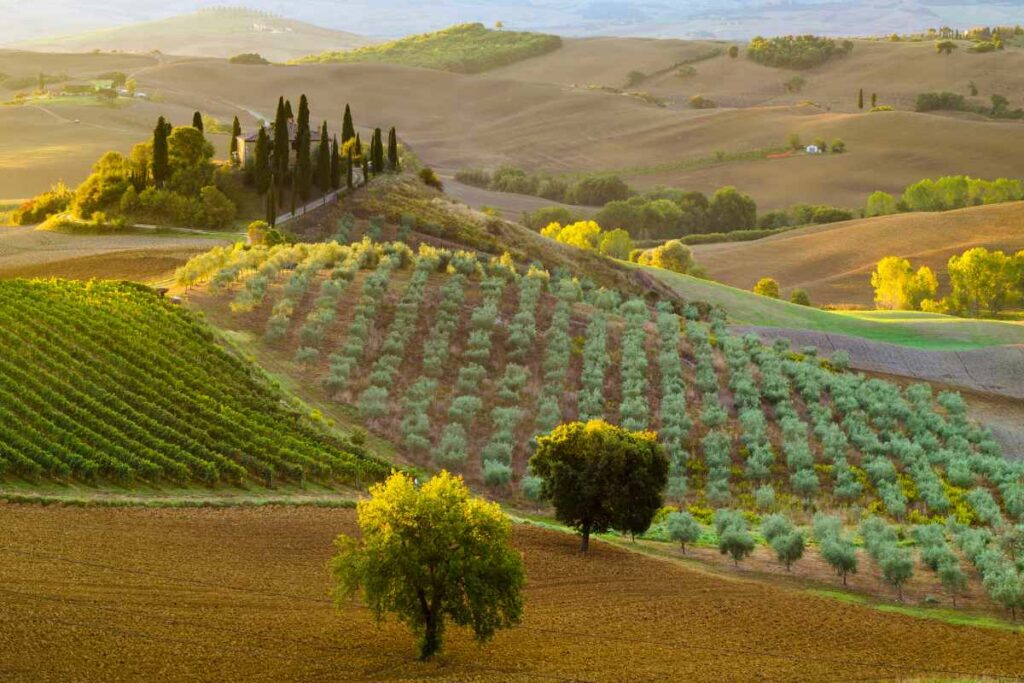 toscana in moto